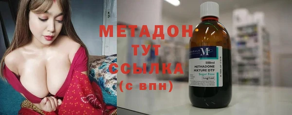 гидра Арсеньев