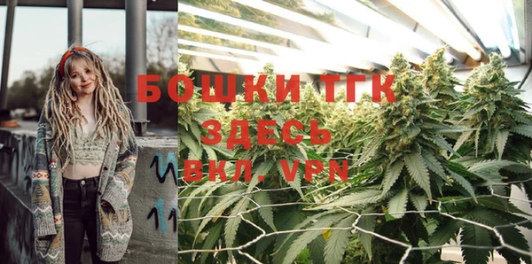 ПСИЛОЦИБИНОВЫЕ ГРИБЫ Балахна